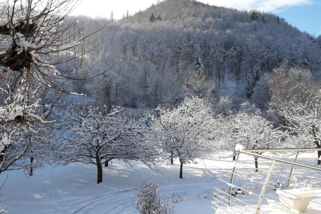 Gite "Entre Champsaur Et Valgodemard" Saint-Jacques-en-Valgodemard 外观 照片