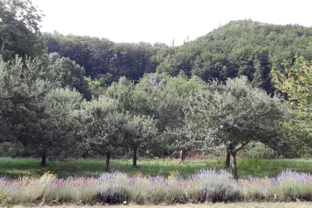 Gite "Entre Champsaur Et Valgodemard" Saint-Jacques-en-Valgodemard 外观 照片