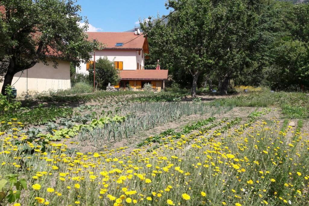Gite "Entre Champsaur Et Valgodemard" Saint-Jacques-en-Valgodemard 外观 照片