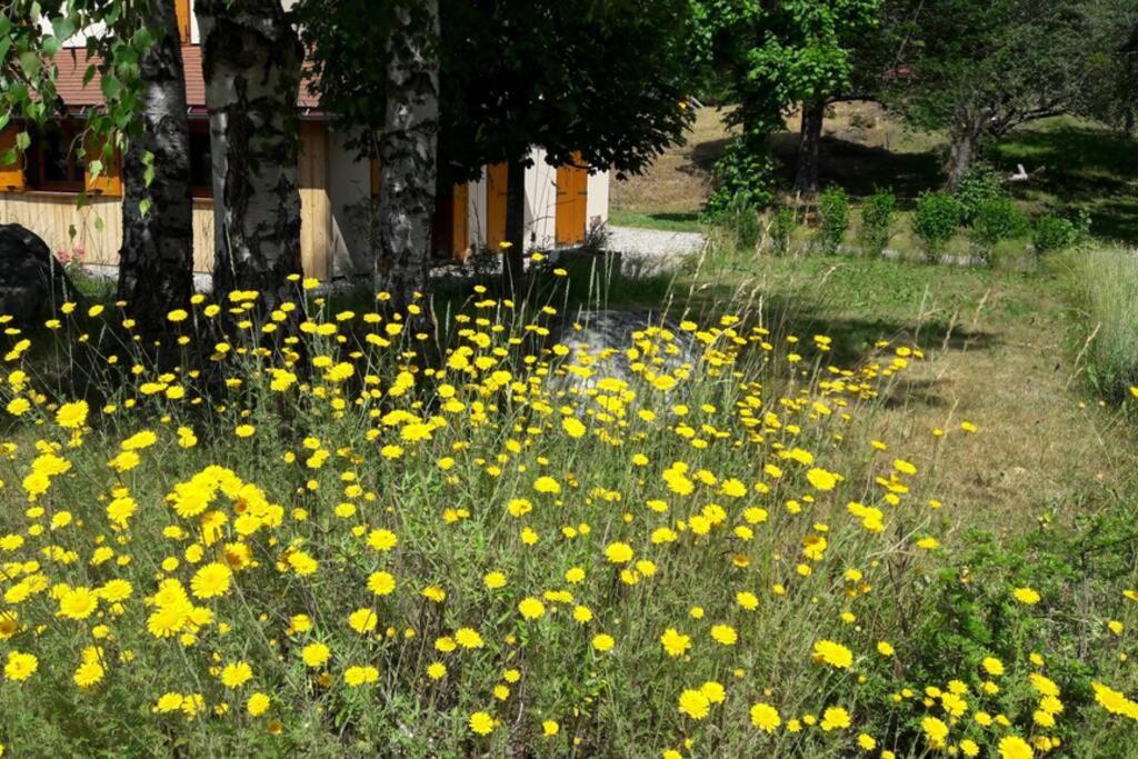 Gite "Entre Champsaur Et Valgodemard" Saint-Jacques-en-Valgodemard 外观 照片